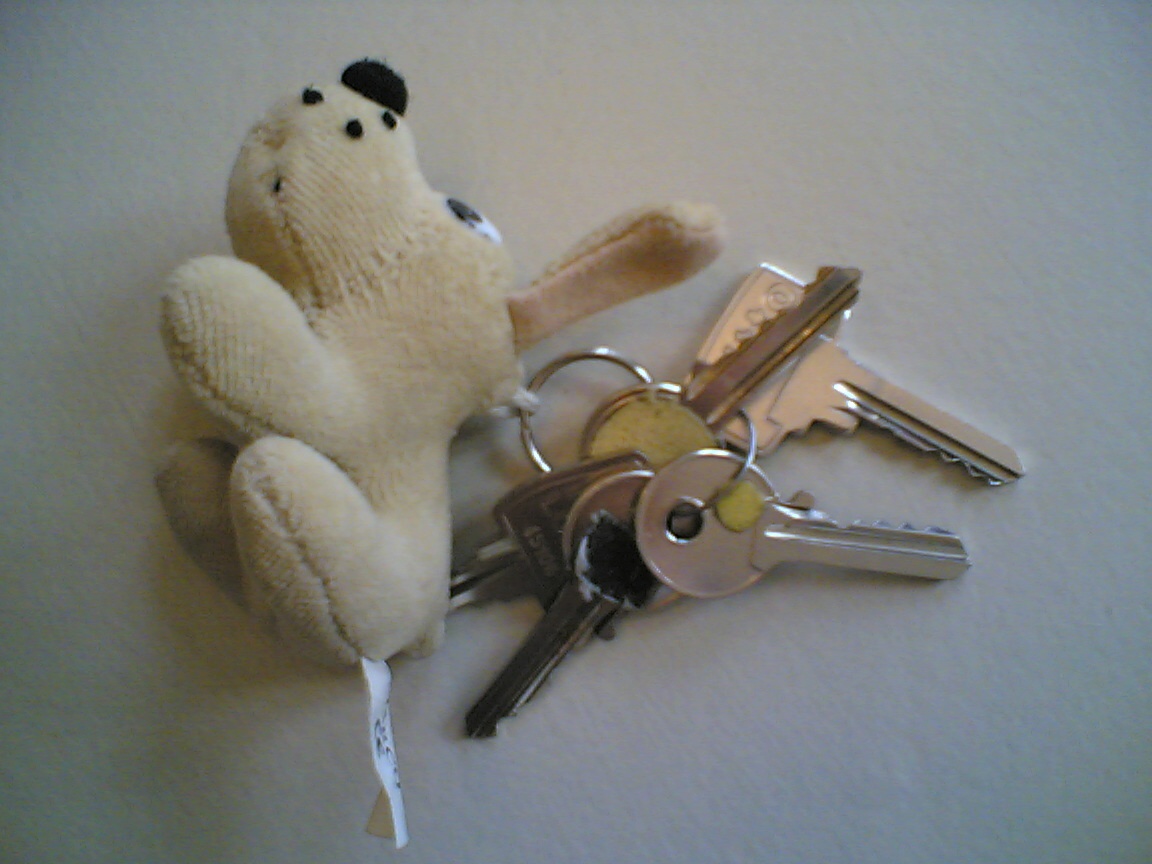 Sleutelhanger met een zacht, lichtbruin pluchen hondje eraan vast, samen met een bos sleutels. De sleutelhanger en sleutels liggen op een lichtgekleurde ondergrond. Er zijn vier sleutels zichtbaar aan de sleutelbos. Twee van de sleutels hebben een geel rond stickertje op het ronde deel waar je de sleutel vasthoudt (kleine en grote markering) en e andere sleutels hebben een andere vorm zodat ze makkelijk van elkaar te onderscheiden zijn.